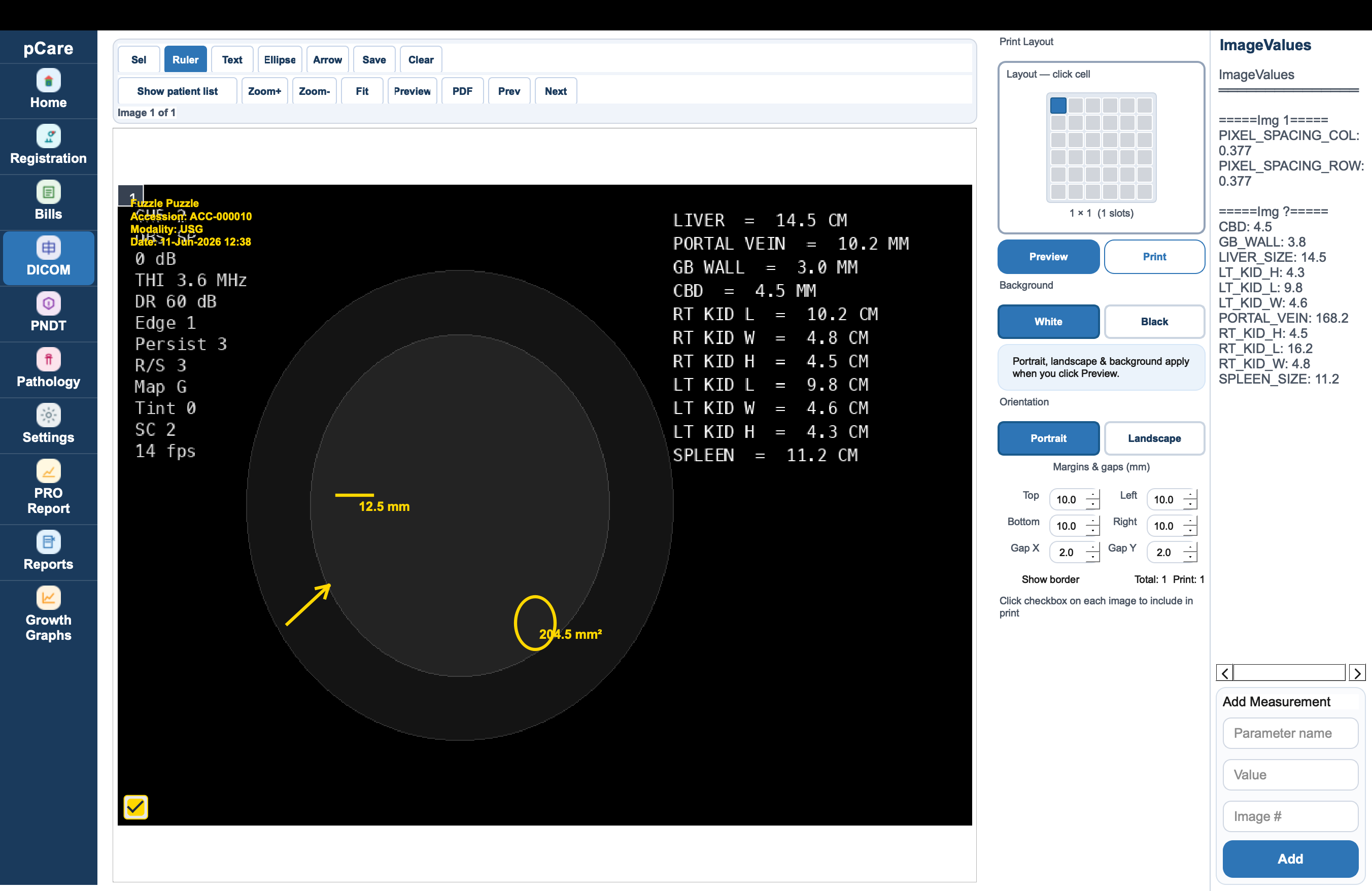 DICOM Image Viewer